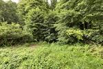 2380 QM WOHNEN AM BACH UND WALD ZUM ENTSPANNEN - Grundstück Bad Herrenalb | Angebot:26340434