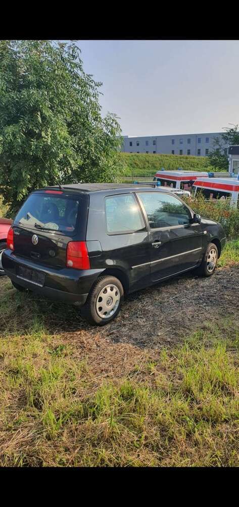 Lupo
