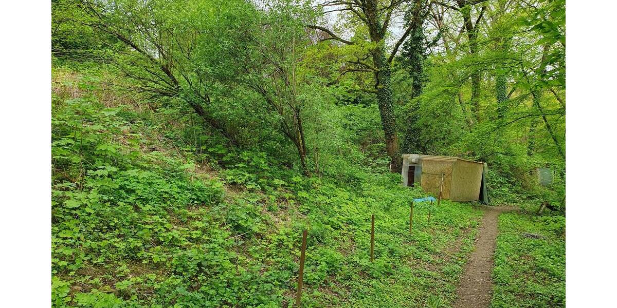 Mehrfamilienhaus, Wohnhaus Velbert Mitte - 9 Zimmer, 220 m&sup2;, 599.000&euro; | Angebot:24873220