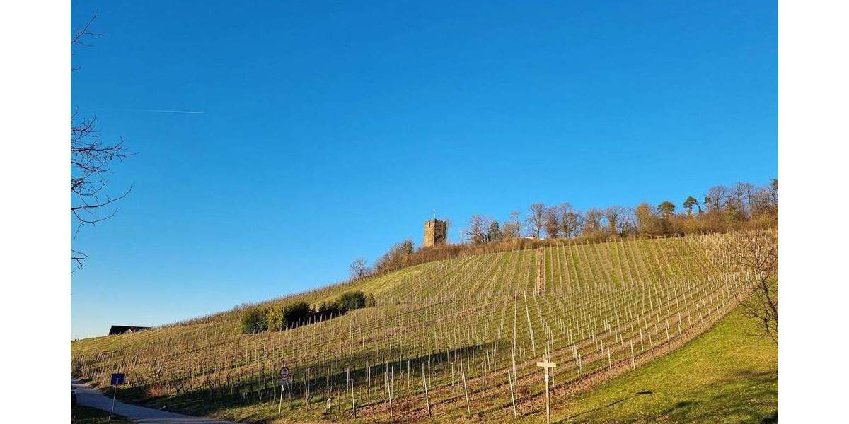 Grundstück zum Kauf provisionsfrei zimmer