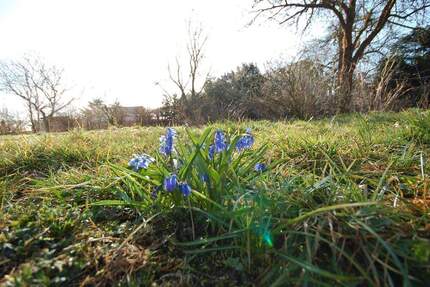 Grundstück Märkische Heide Groß Leuthen - 75.000&euro; | Angebot:23627323