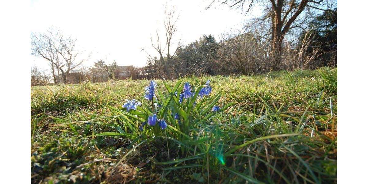 Grundstück Märkische Heide Groß Leuthen - 75.000&euro; | Angebot:23627323