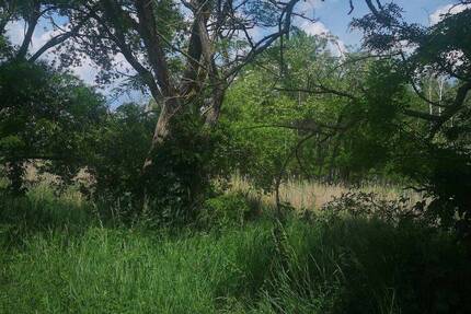 Grundstück Eilenburg - 3.150.000&euro; | Angebot:22496936