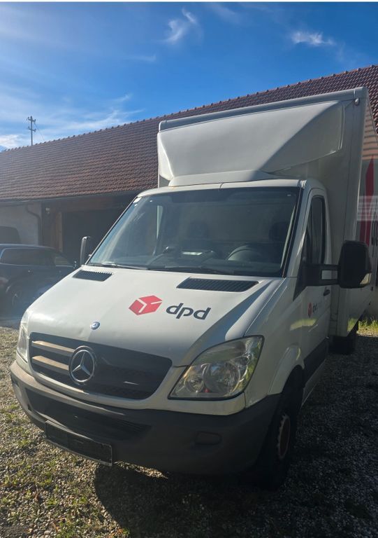Sprinter
