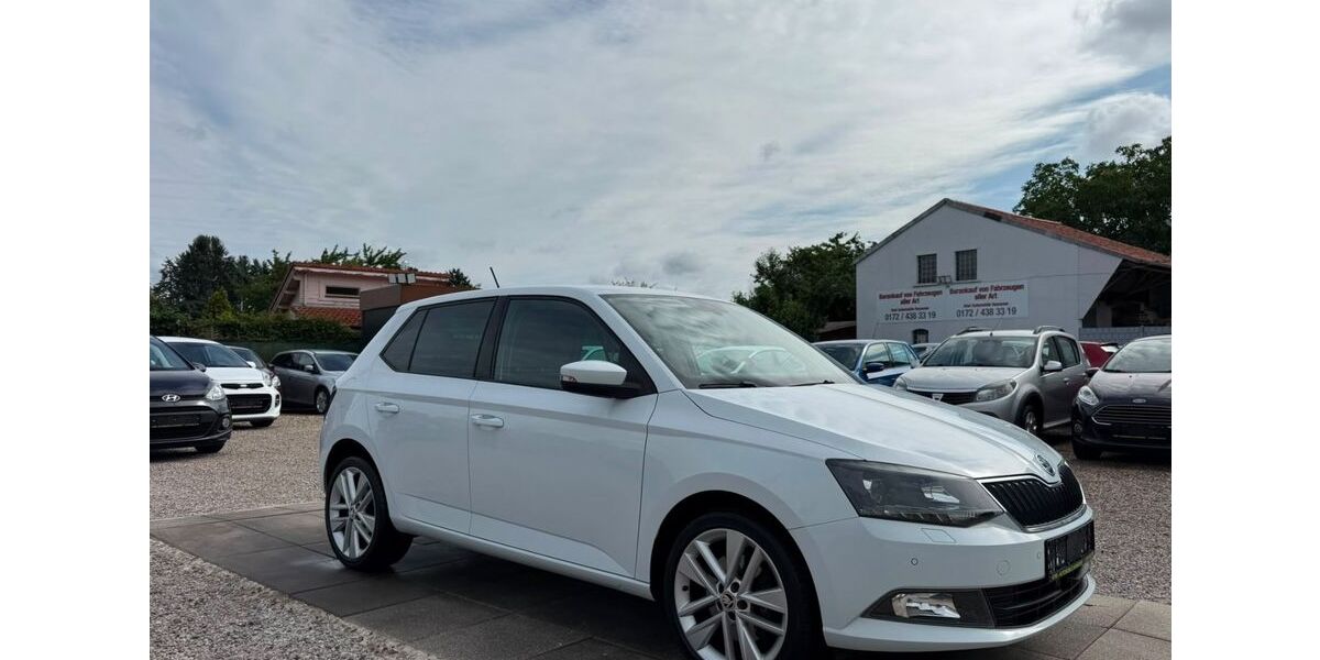 Skoda Fabia 96.000 km 11.999 &euro; Hannover 30163