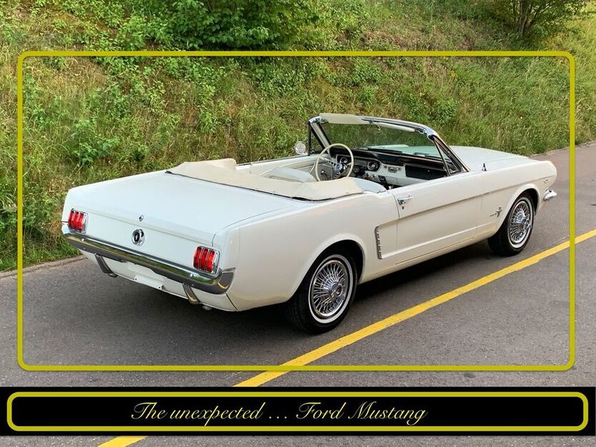 Mustang