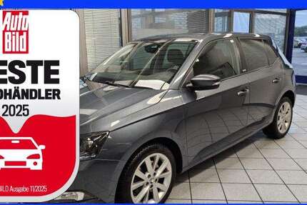 Skoda Fabia 49.579 km 13.900 &euro; Wolfsburg Heiligendorf 38444
