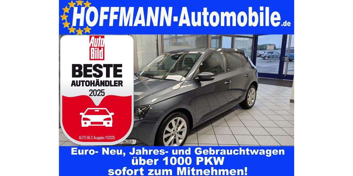 Skoda Fabia 49.579 km 13.900 &euro; Wolfsburg Heiligendorf 38444