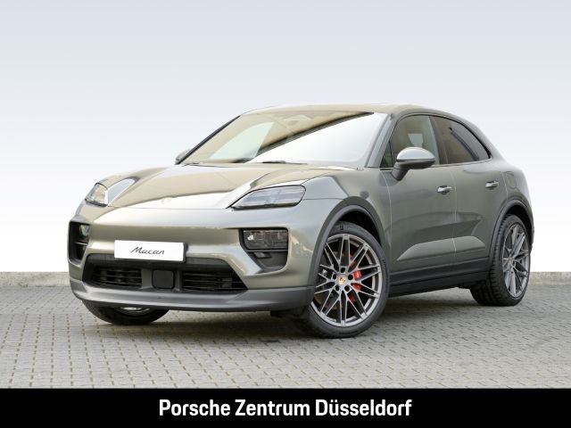 Macan