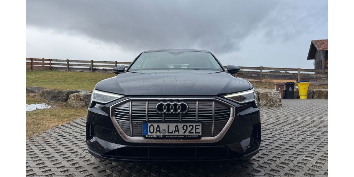 Audi e-tron 75.000 km 27.200 &euro; Eisenberg 87637