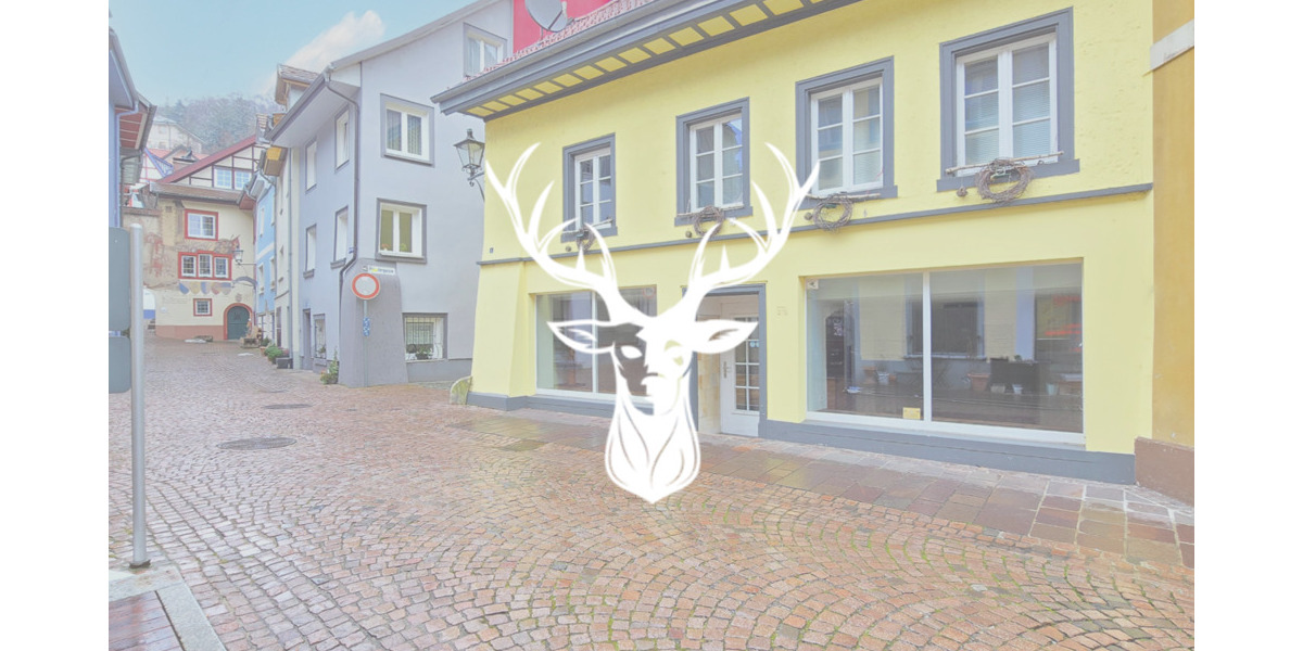 Gewerbeobjekt Waldshut-Tiengen Tiengen - 980&euro; | Angebot:25685891