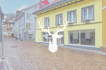 Gewerbeobjekt Waldshut-Tiengen Tiengen - 980&euro; | Angebot:25685891