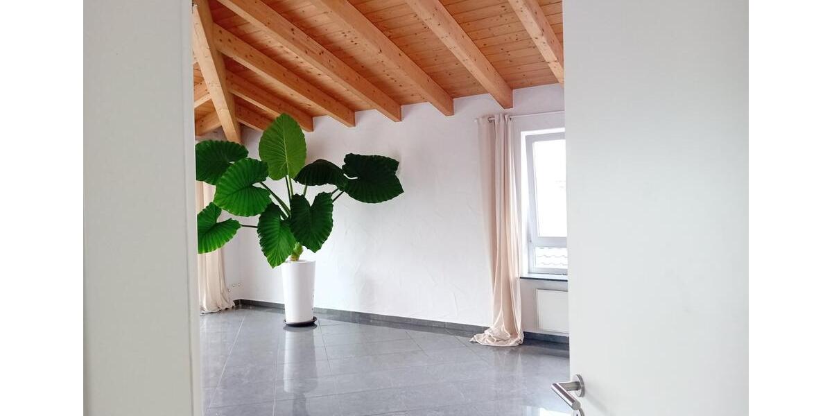 Großzügige Penthouse-Wohnung (ca. 210 m²) zu vermieten 5.5 zimmer