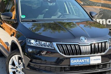Skoda Karoq 150.000 km 15.999 &euro; Rohrdorf 72229
