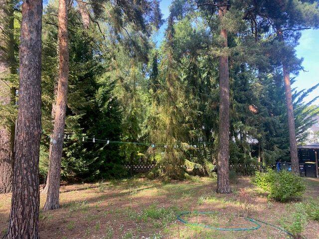 Grundstück Kleinmachnow - 742.500&euro; | Angebot:22965617