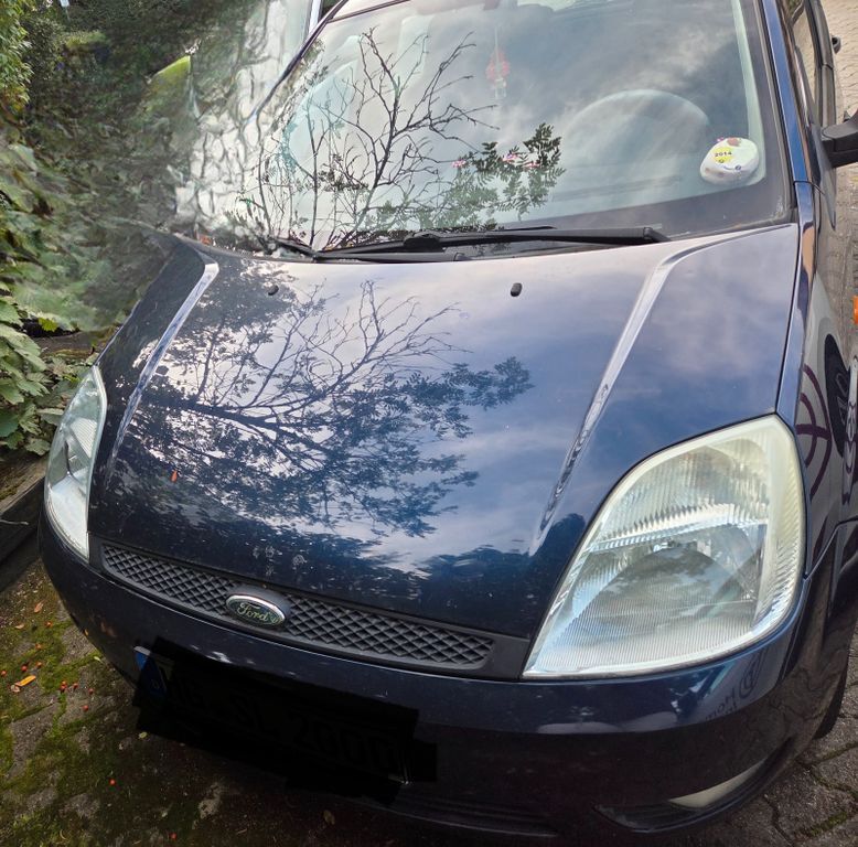 Ford Fiesta 262.000 km 1.200 € Usingen 61250