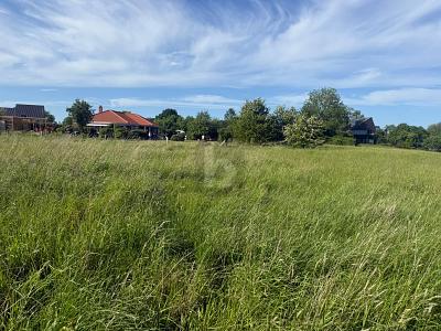 VIELE MÖGLICHKEITEN IN ENTSPANNTER ORTSLAGE - Grundstück Riepsdorf | Angebot:26762840