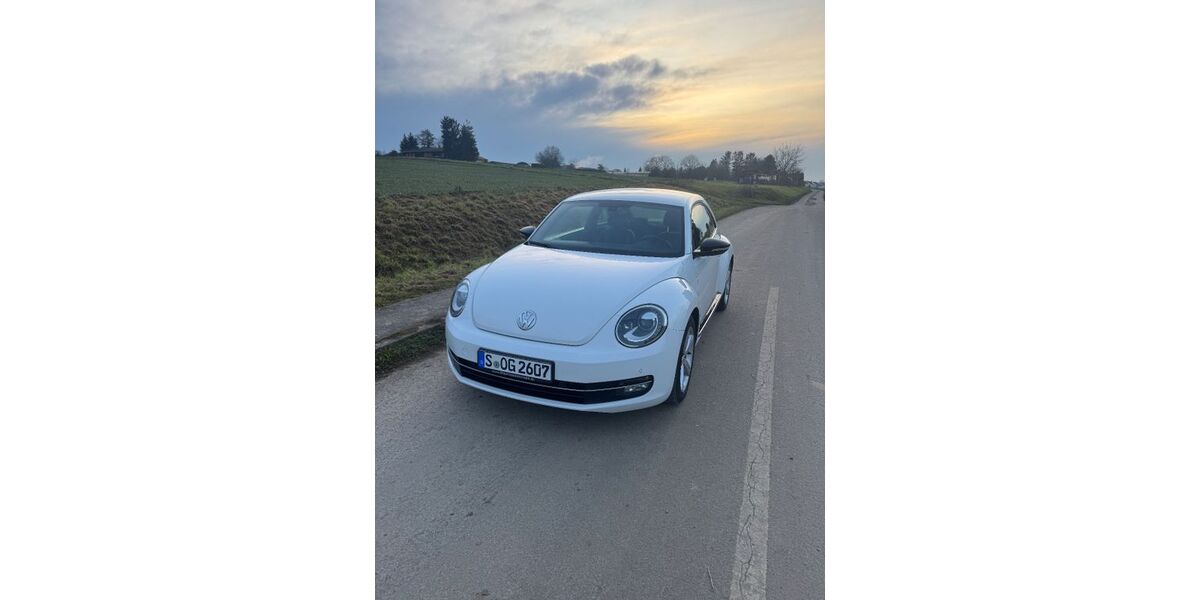 VW Beetle 243.000 km 7.499 &euro; Waiblingen 71334