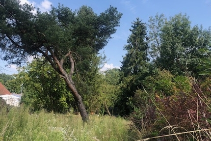 Praktisches Baugrundstück mit Potential in Pfaffenhofen an der Ilm zimmer