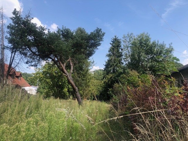 Praktisches Baugrundstück mit Potential in Pfaffenhofen an der Ilm zimmer