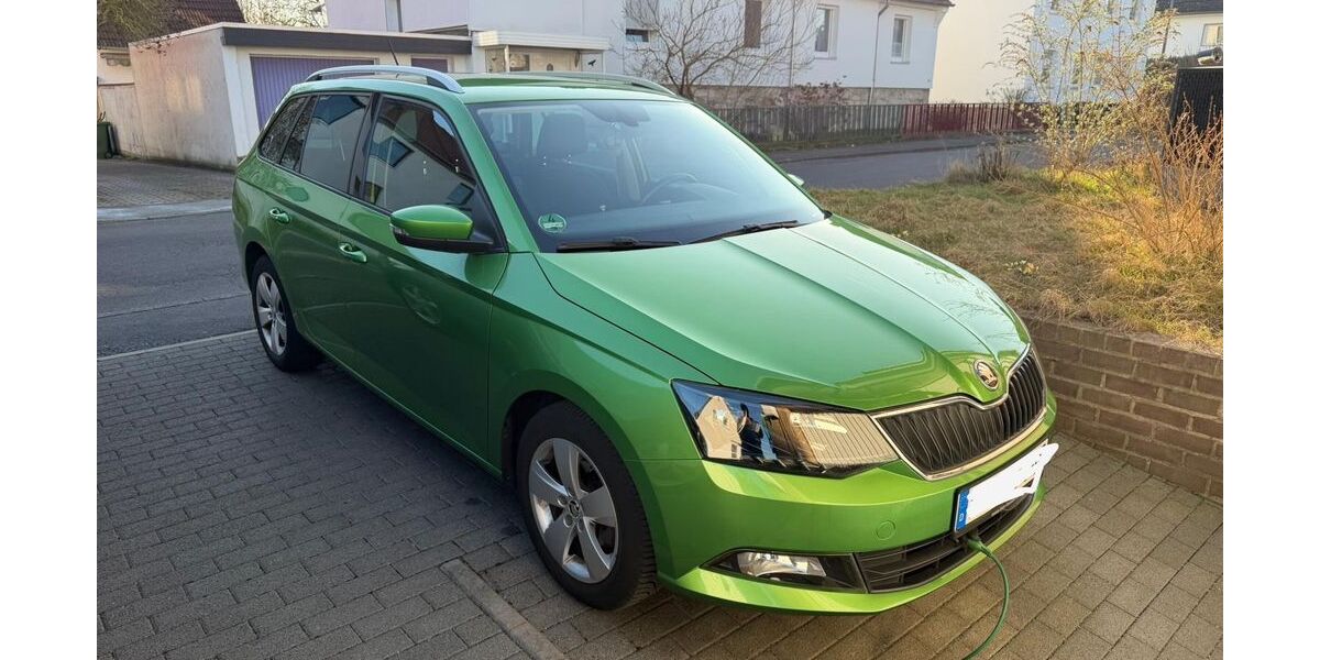 Skoda Fabia 83.000 km 8.800 &euro; Fuldatal 34233