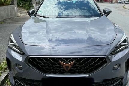 Cupra Formentor 73.800 km 24.500 &euro; Landau 94405