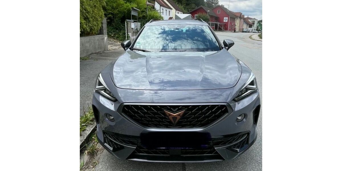 Cupra Formentor 73.800 km 24.900 &euro; Landau 94405