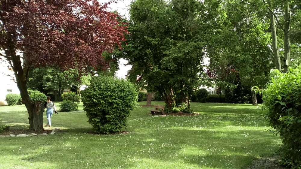 Etagenwohnung Bad Kreuznach Bad Münster am Stein-Ebernburg - 3 Zimmer, 75 m&sup2;, 179.000&euro; | Angebot:26589191