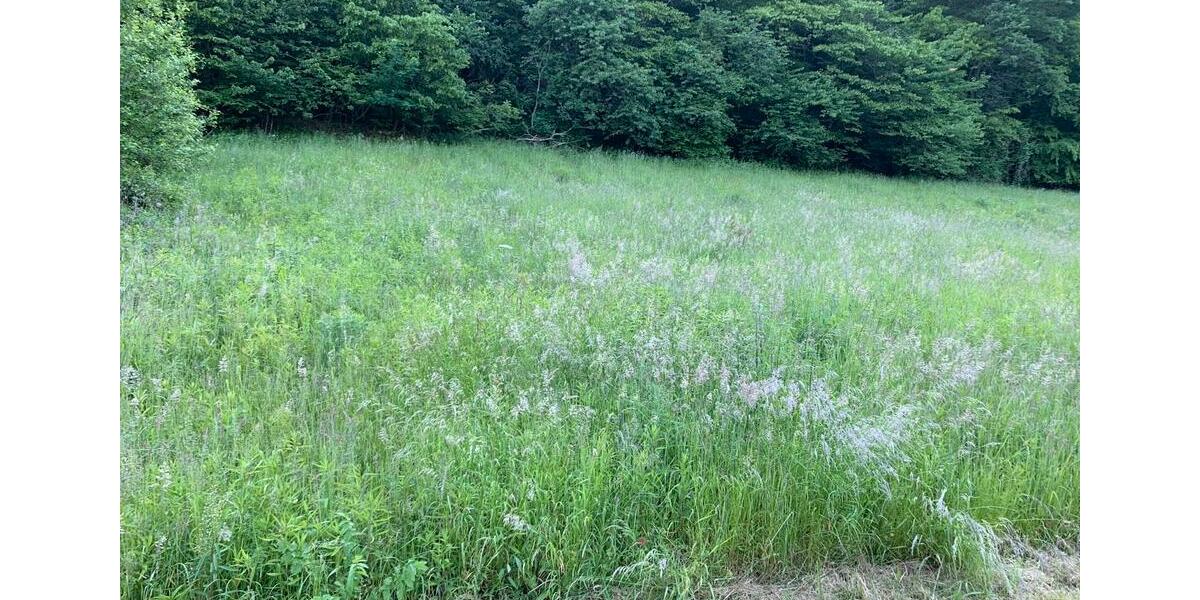 Grundstück Senheim - 14.450&euro; | Angebot:11233803