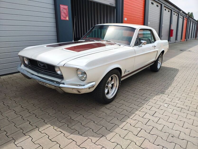 Mustang