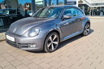 VW Beetle