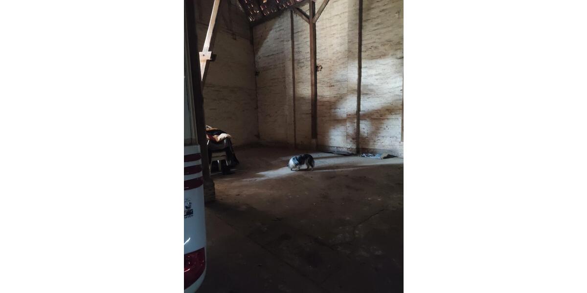 Bauernhaus, Landhaus Königslutter am Elm - 7 Zimmer, 146 m&sup2;, 280.000&euro; | Angebot:26305204