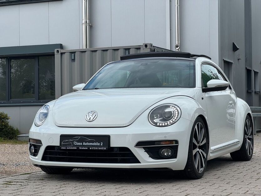 Beetle