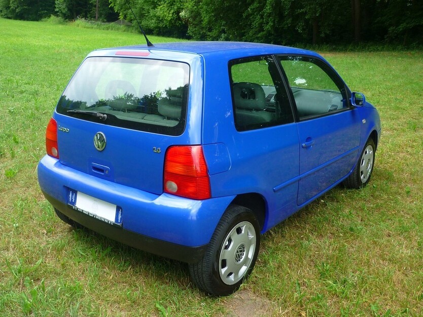 Lupo