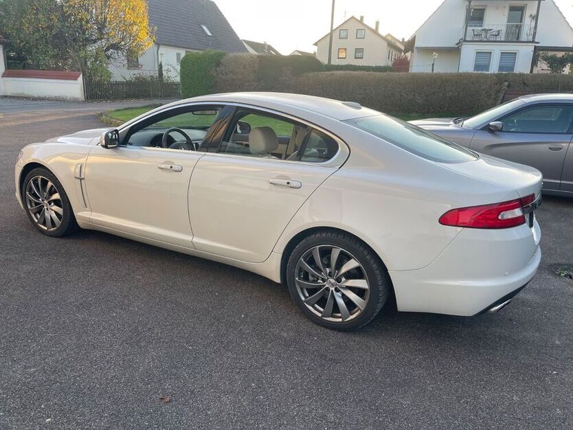 XF