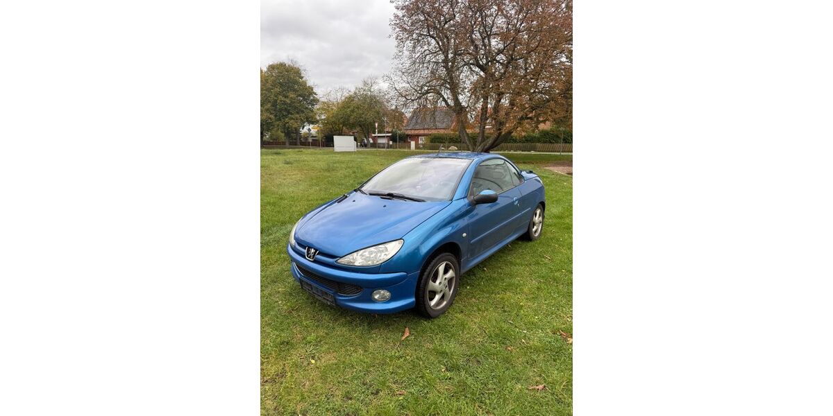 Peugeot 206 210.000 km 999 &euro; Crivitz 19089