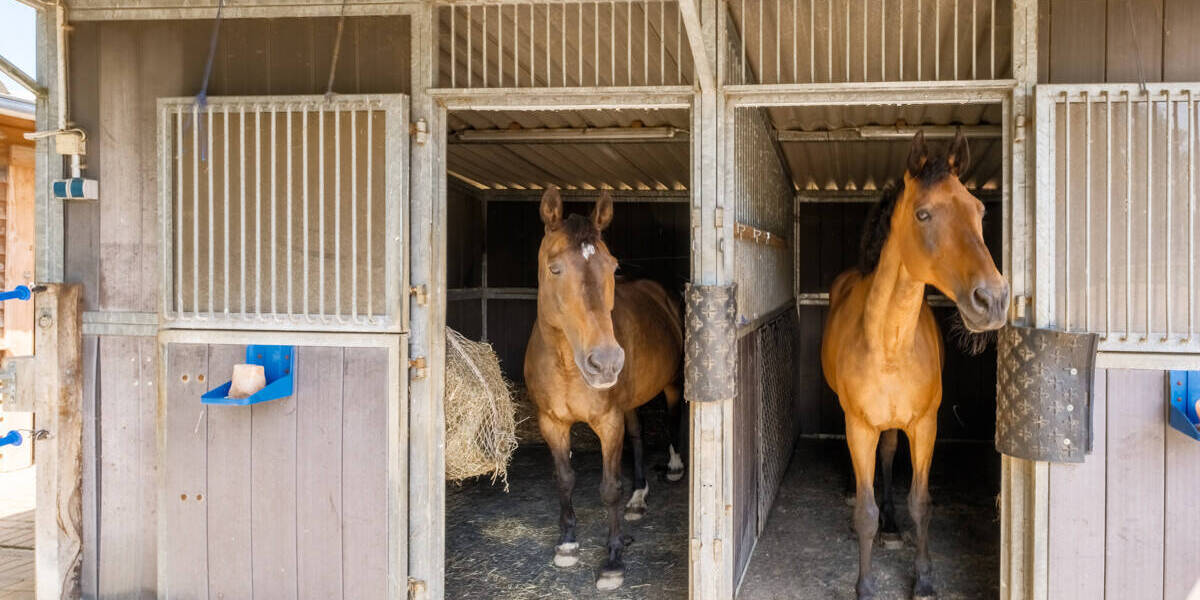 Mehrfamilienhaus, Wohnhaus Schashagen-Marxdorf Marxdorf - 5 Zimmer, 170 m&sup2;, 990.000&euro; | Angebot:25909545