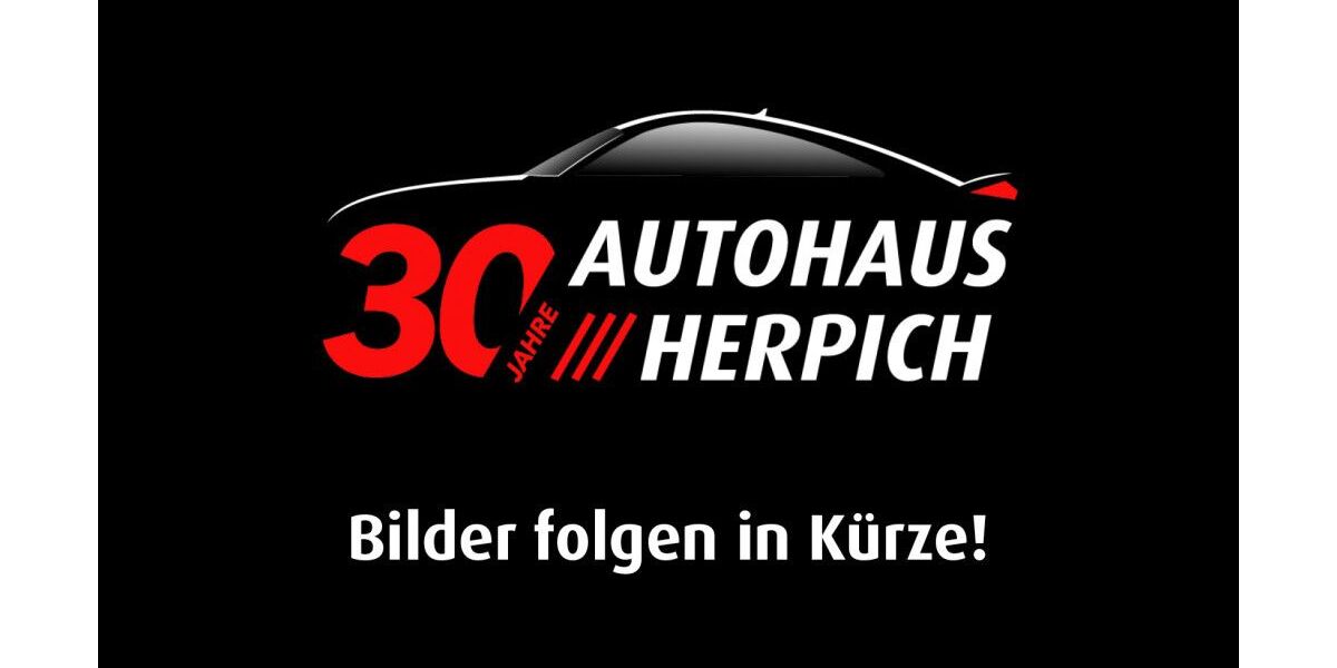 Ford Transit Custom 132.213 km 21.990 &euro; Erbach 64711