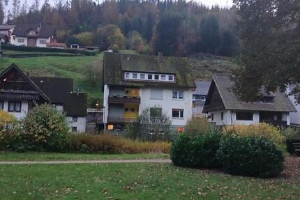 EG Wohnung Schönmünzach 1.5 zimmer