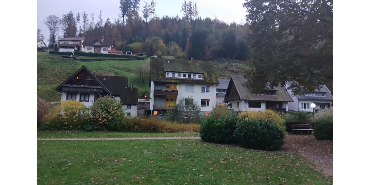 EG Wohnung Schönmünzach 1.5 zimmer