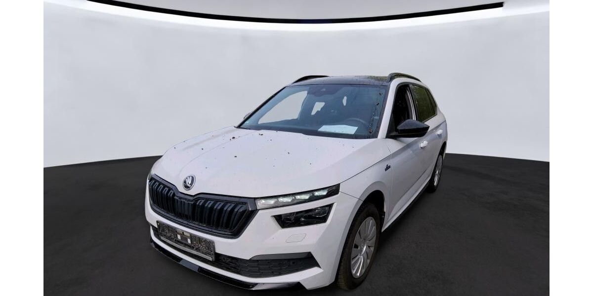 Skoda Kamiq 89.000 km 17.490 &euro; Schnaittenbach 92253