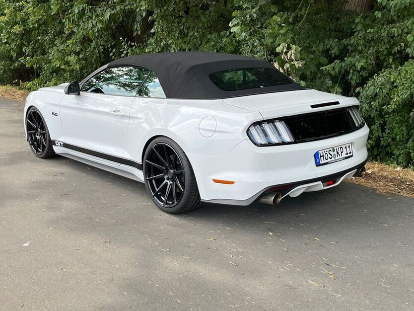 Mustang