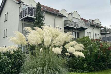 Wohnung Büttelborn - 2 Zimmer, 55 m&sup2;, 199.500&euro; | Angebot:25358061