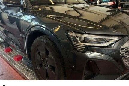 Audi Q8 e-tron 50.960 km 45.830 &euro; Binzen 79589