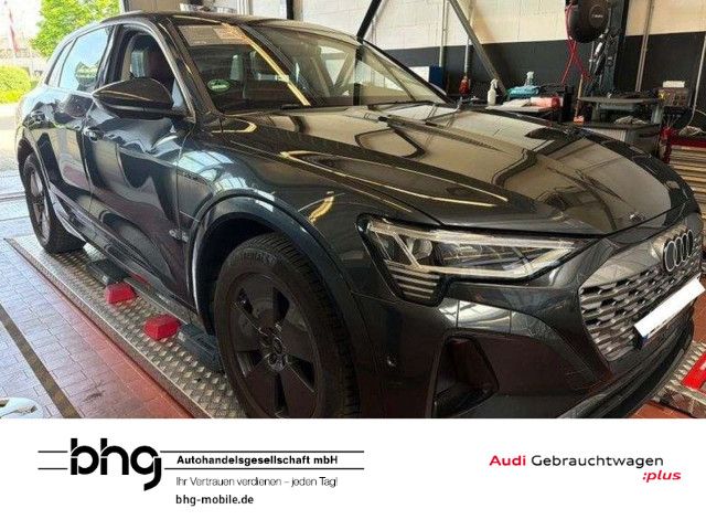 Audi Q8 e-tron 50.960 km 45.830 &euro; Binzen 79589
