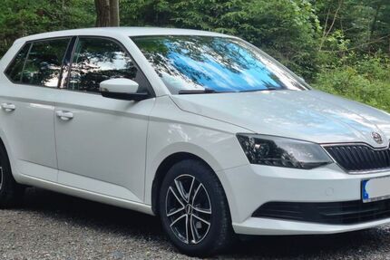 Skoda Fabia 148.000 km 6.000 &euro; Neustadt an der Orla 07806