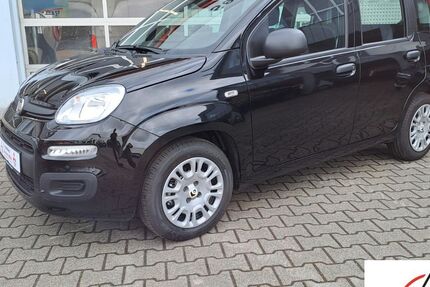 Fiat Panda 3.000 km 14.990 &euro; Erbach 64711