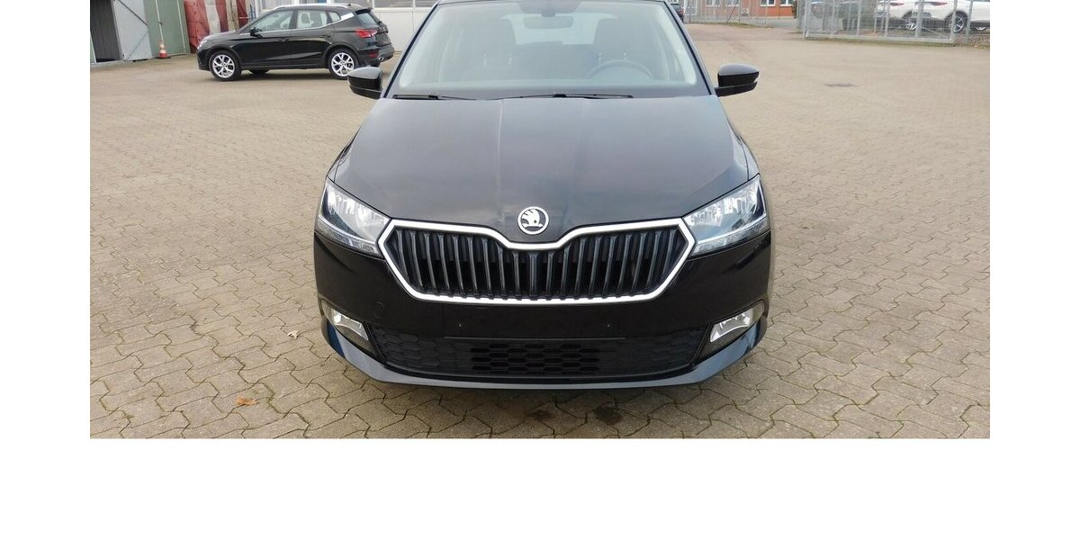 Skoda Fabia 1.0 Ambition TSI BMT Navi Klima 25.700 km 15.990 &euro; Vordorf 38533