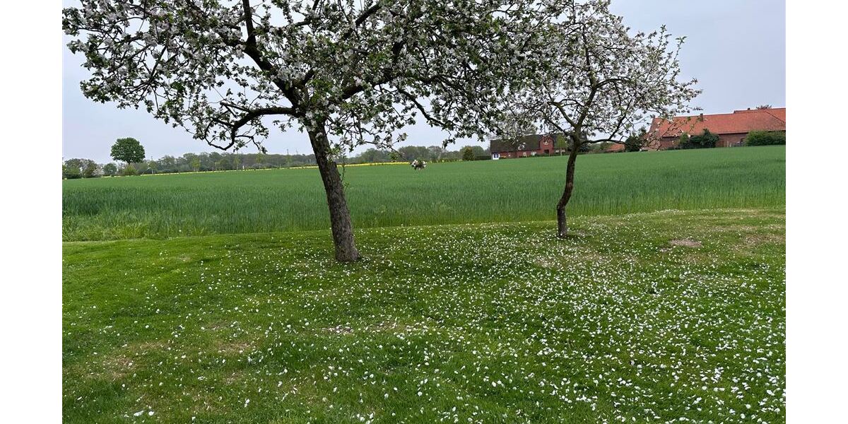 Bauernhof mit arrondierten Weide- und Ackerflächen, ideal für Pferdehaltung - Gewerbeobjekt Stolzenau | Angebot:24992642