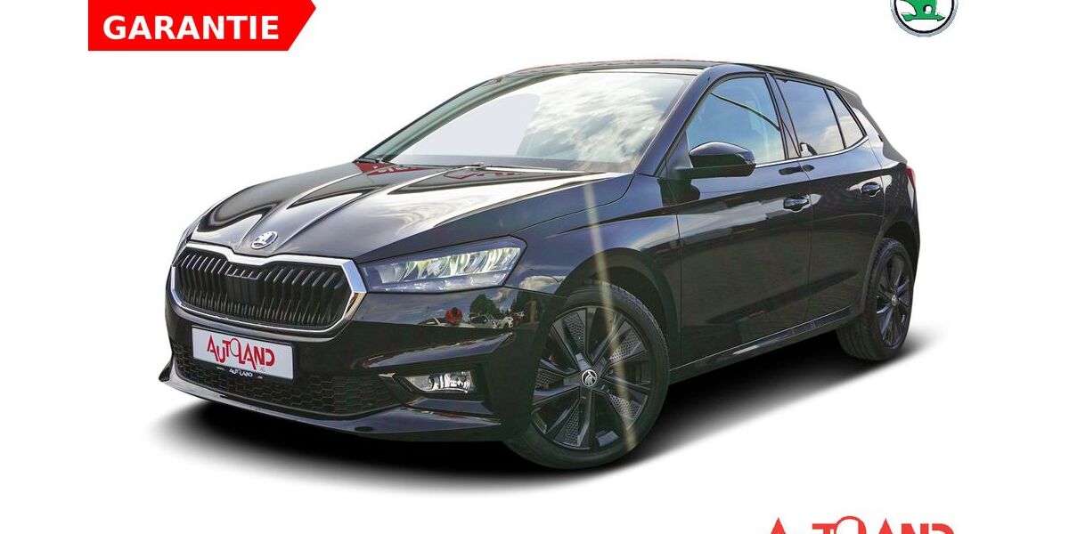Skoda Fabia 29.130 km 19.950 &euro; Bautzen 02625